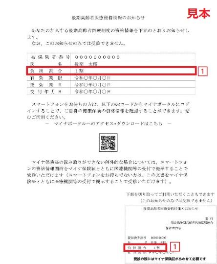 資格情報のお知らせの見本