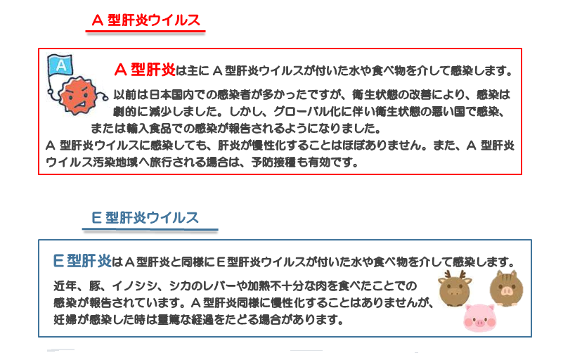 A型肝炎ウイルス・E型肝炎ウイルスとは