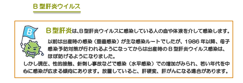 B型肝炎は、B型肝炎ウイルスに感染している人の血や体液を介して感染します。  以前は出産時の感染（垂直感染）が主な感染ルートでしたが、1986年以降、母子感染予防対策が行われるようになってからは出産時のB型肝炎ウイルス感染は,ほぼ防げるようになりました。 しかし現在、性的接触、針刺し事故などで感染（水平感染）での増加がみられ、若い年代を中心に感染が広まる傾向にあります。放置していると、肝硬変、肝がんになる場合があります。