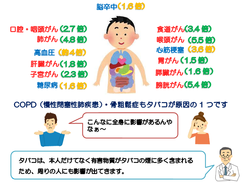 COPD（慢性閉塞性肺疾患）・骨粗鬆症もタバコが原因の1つです。こんなに全身に影響があるんやなぁ～。タバコは、本人だけてなく有害物質がタバコの煙に多く含まれるため、周りの人にも影響が出てきます。