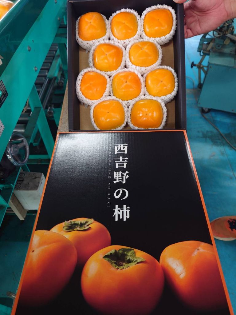 箱詰めされたハウス柿