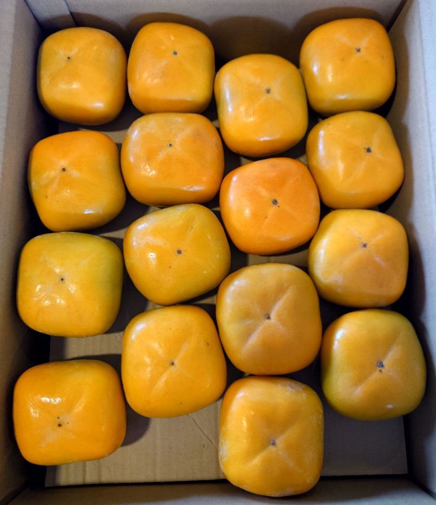 箱詰めされた柿