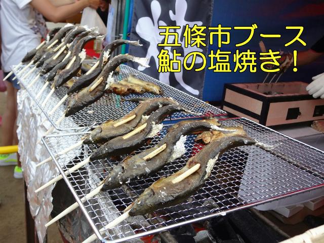 五條市ブース鮎の塩焼き。五條市ブースで1匹づつ串に刺した鮎の塩焼きを網の上で炭火しているアップの写真