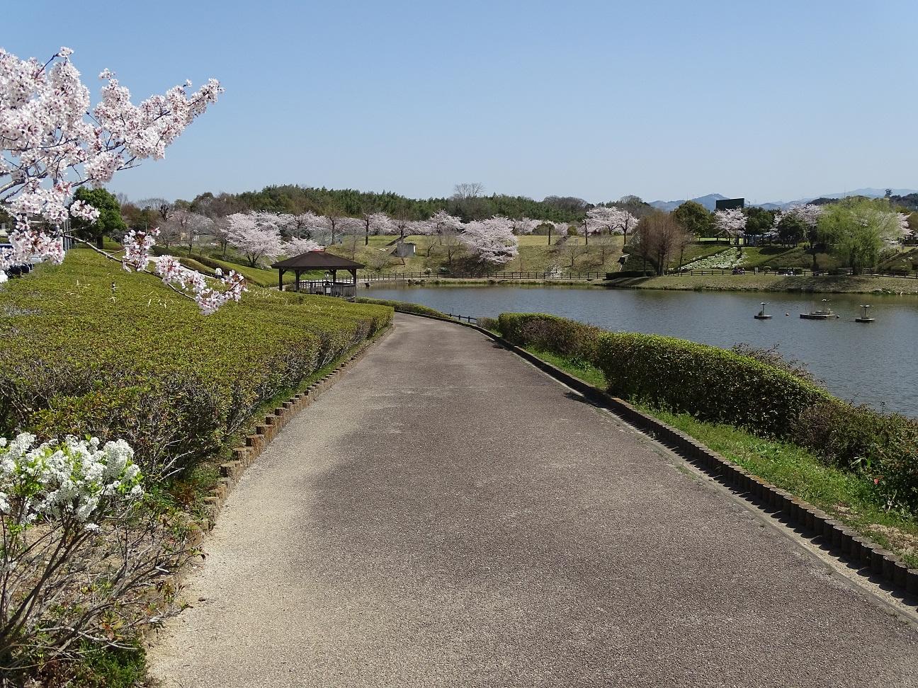 上野公園の写真