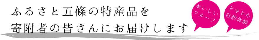 おいしいフルーツ、ドキドキ自然体験、ふるさと五條の特産品を寄付者の皆さんにお届けします