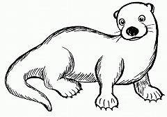 カワウソのイラスト
