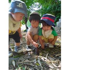 タケノコを見つけたところ
