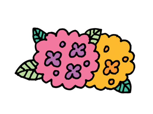 アジサイのイラスト