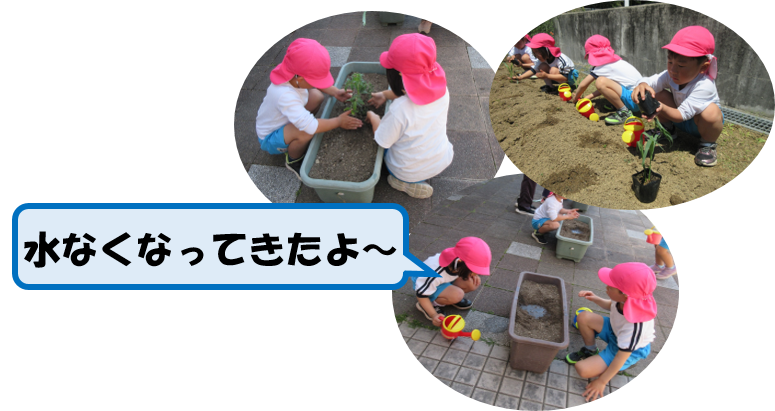 苗を植えているところ