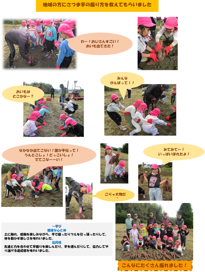 さつま芋掘り小和町