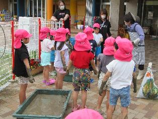 田植え体験