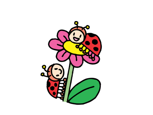 テントウムシのイラスト