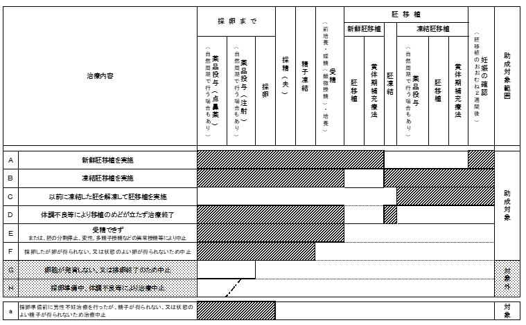生殖補助医療の治療内容