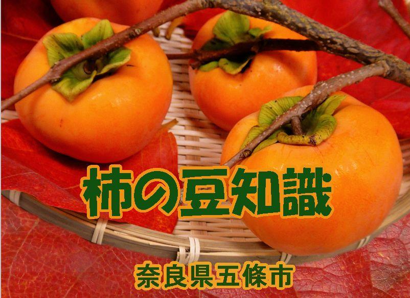 柿の豆知識タイトル画像
