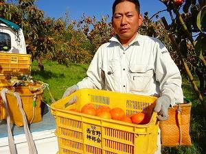 収穫した柿がいっぱい入ったコンテナを両手で持っている西岡さんの写真