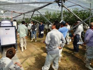 ハウス柿生産者や奈良県果樹薬草研究センター技術者、JA職員による園地巡回の様子の写真
