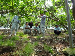 ハウス柿生産者や奈良県果樹薬草研究センター技術者、JA職員による園地巡回の様子の写真