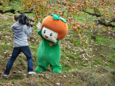 奈良県五條市のシンボルキャラクター カッキーの撮影の写真