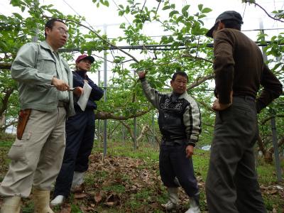 ハウス柿生産者や奈良県果樹・薬草研究センターなどの技術者、JA職員の写真