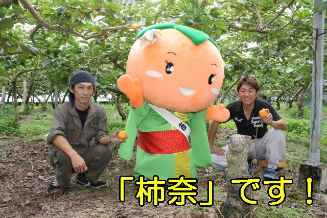 両手を広げてポーズを決めたマスコットキャラクターの柿奈と収穫した柿を手に持つ2人のハウス柿生産者の写真