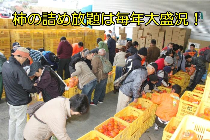 昨年の柿詰め放題の様子大勢の人が柿が入ったコンテナから柿を袋に詰めている写真