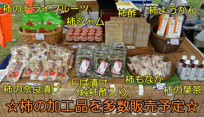 No 140 イベント情報 アースデー17inなら 五條市 No 140 イベント情報 アースデー17inなら 五條市