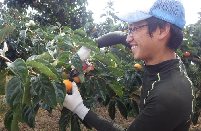 生産者が笑顔で収穫する写真