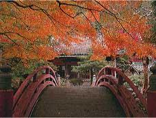 秋の大澤寺の写真1