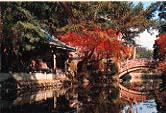 秋の大澤寺の写真2