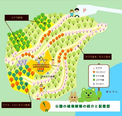 公園の植栽樹種と配置図のイラスト