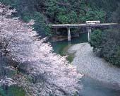 丹生川の写真