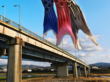 【入選】夕日に泳ぐ