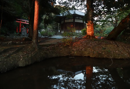 【特選】冬至の栄山寺