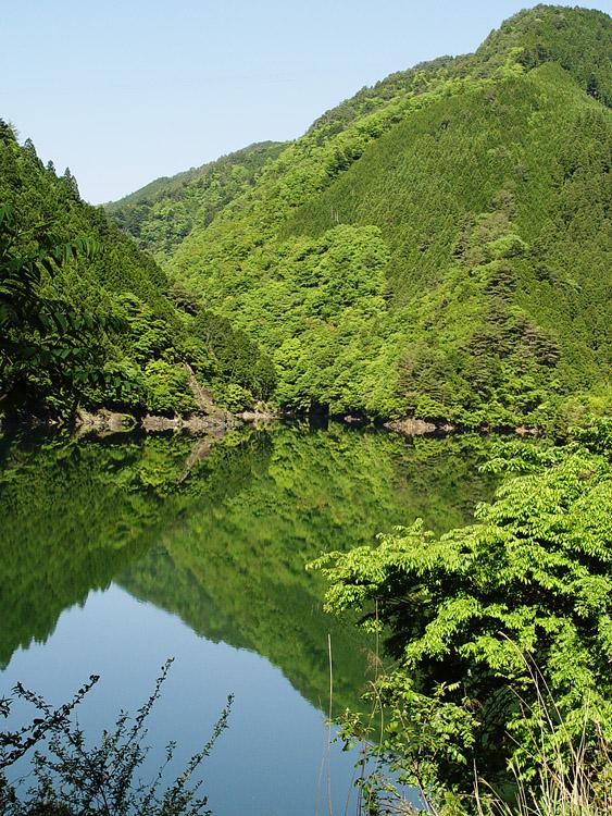 ダム湖面が静かな朝に、緑の山が美しく映っている写真
