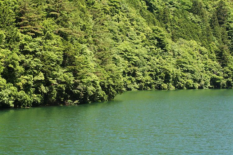 山の緑が深まり、湖水の緑も濃く綺麗な写真