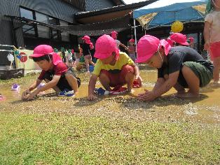 夏の遊び