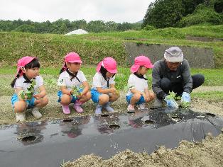 地域の方と苗植え