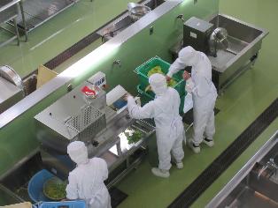 お別れ遠足