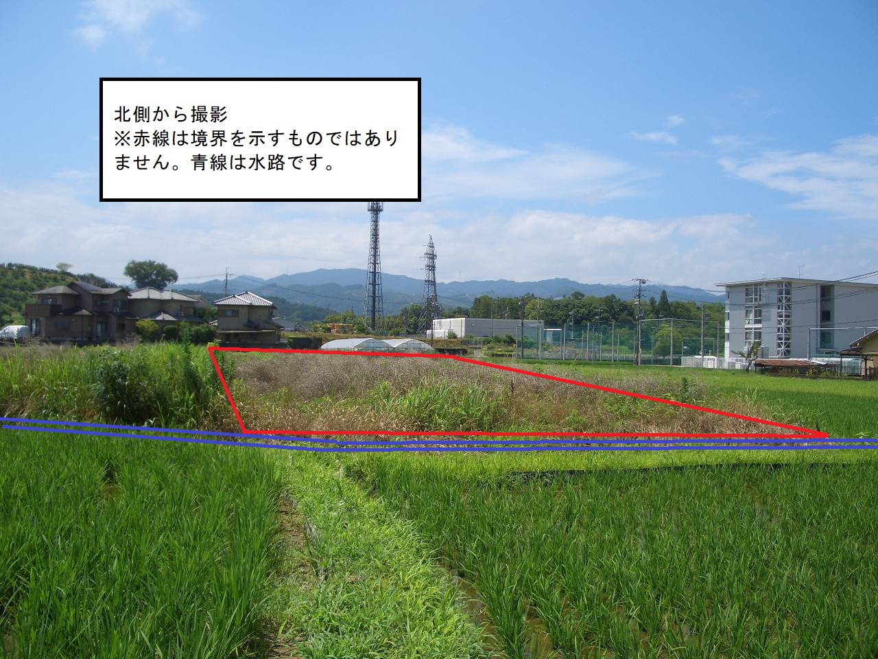 北側全体