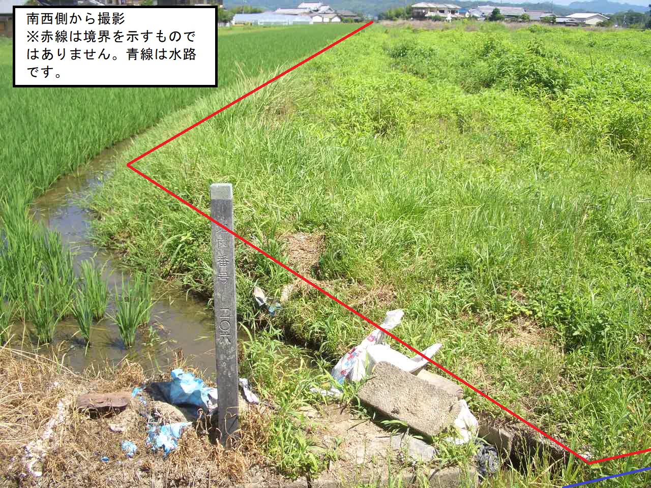 南西側